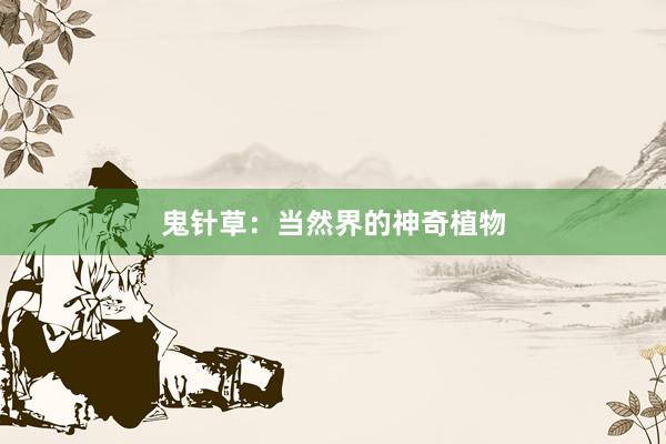 鬼针草：当然界的神奇植物